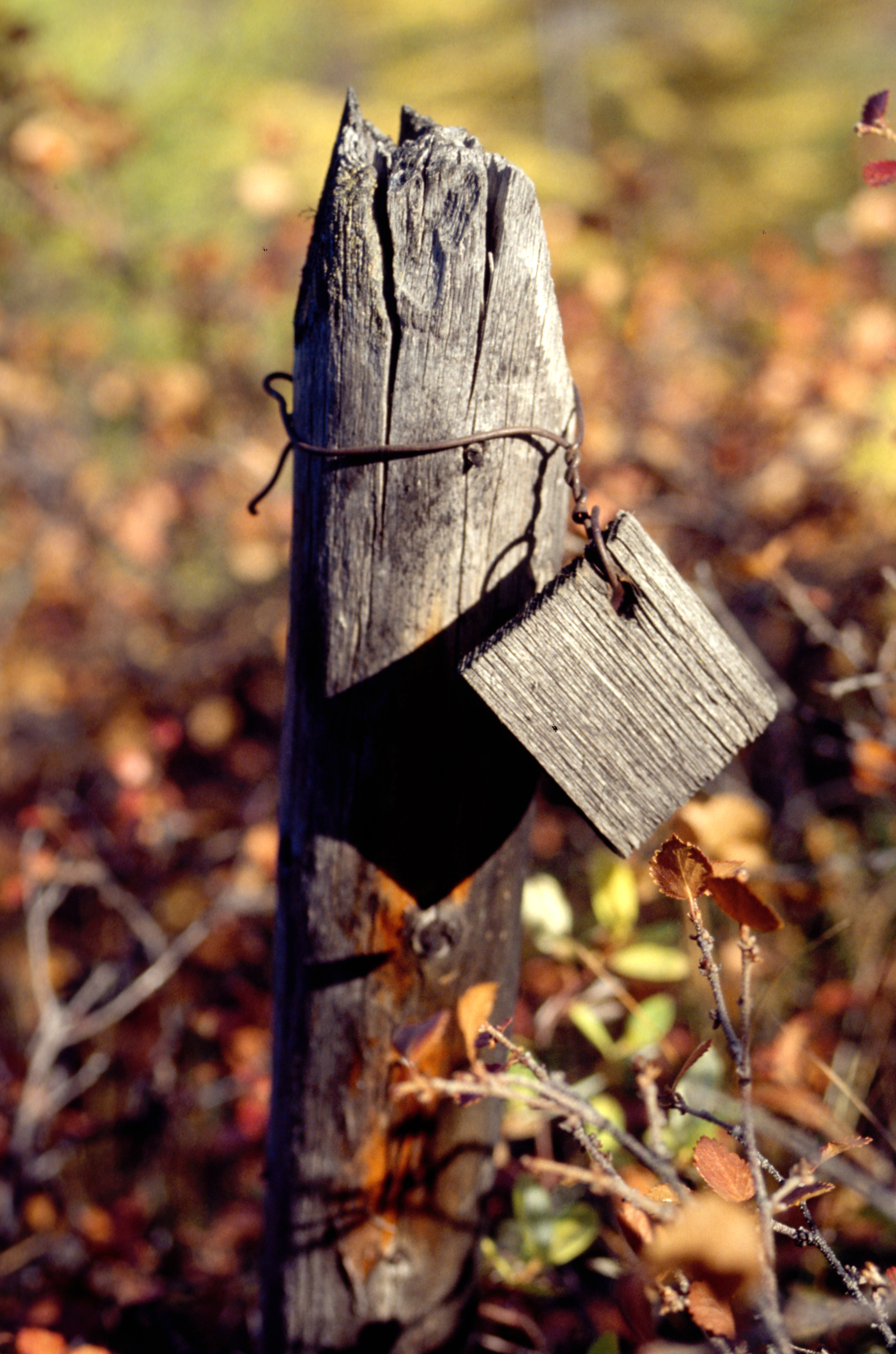 Alles was blieb... 1994 (c) Wolodymyr Ogloblin 01