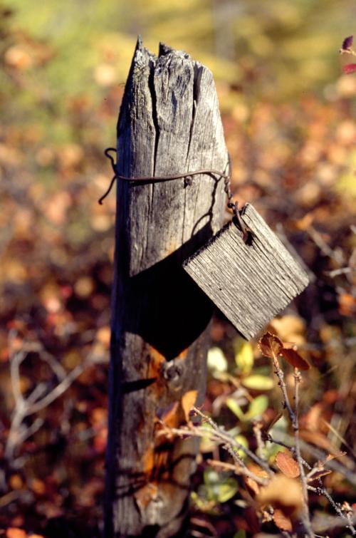 Alles was blieb... 1994 (c) Wolodymyr Ogloblin 01