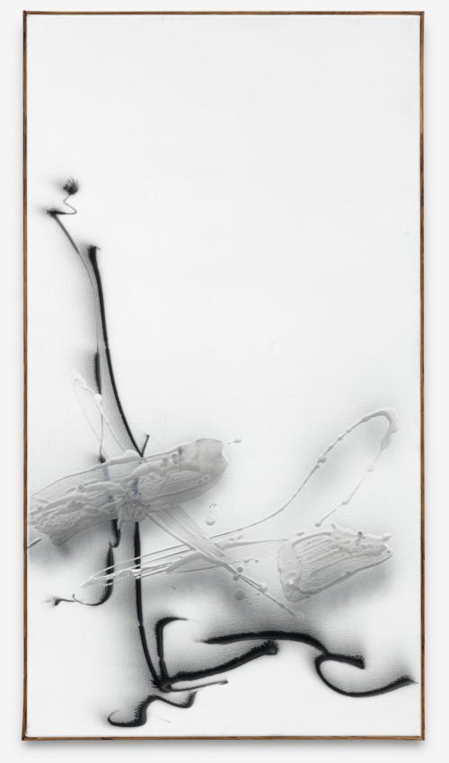 J 5723 Acryl_Lw 2023 110x60cm