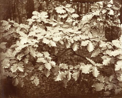 August Kotzsch: Führung durch die Sonderausstellung