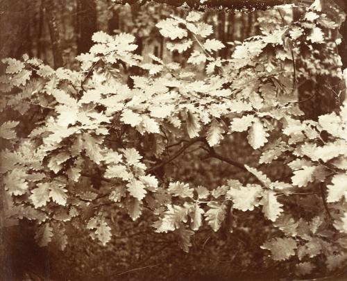 August Kotzsch: Führung durch die Sonderausstellung