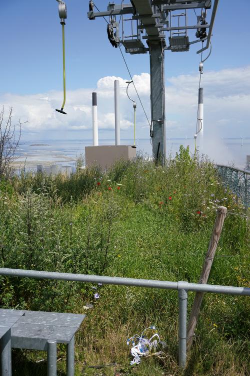 IntermezzoXI: Besiedlungen (II): Susanne Hanus und Karen Weinert