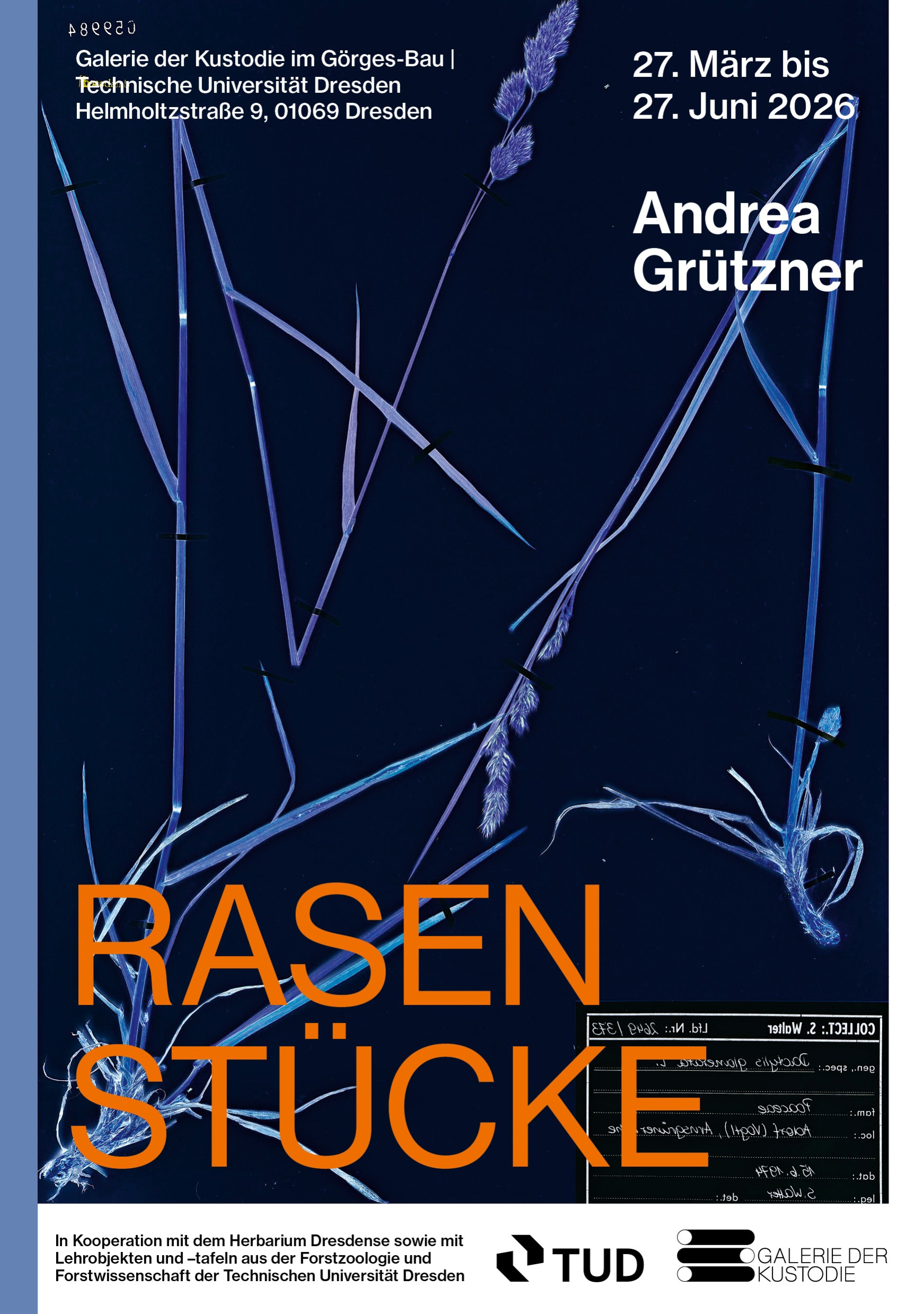 Andrea Grützner: RASENSTÜCKE