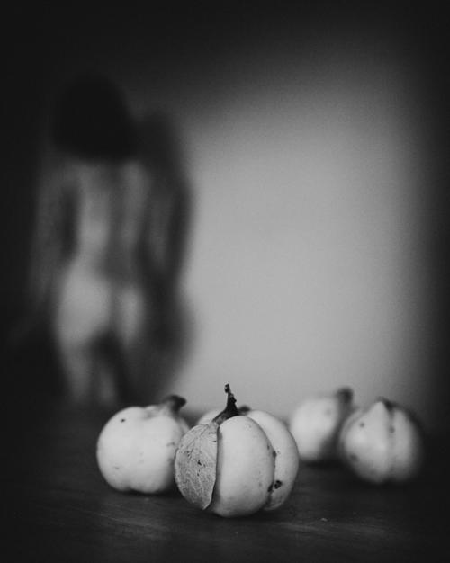 12.FotografenTalk mit Claudia Otto (Greifswald)